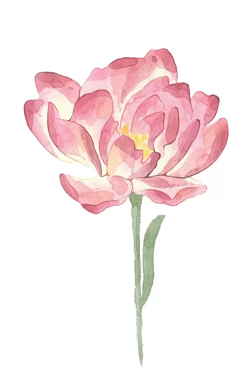Big Pink Watercolour Flower Floral Collection by Pixy Paper wall art