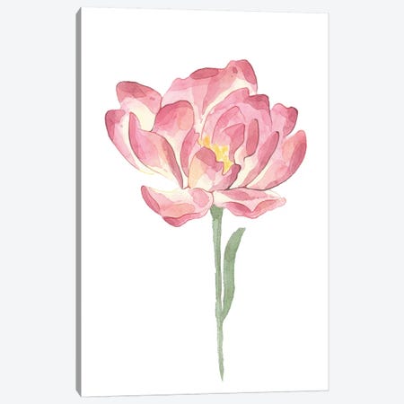 Big Pink Watercolour Flower Floral Collection Canvas Print #PXY78} by Pixy Paper Canvas Art Print