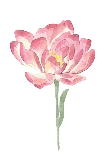 Pixy Paper: Big Pink Watercolour Flower Floral Collection by Pixy Paper