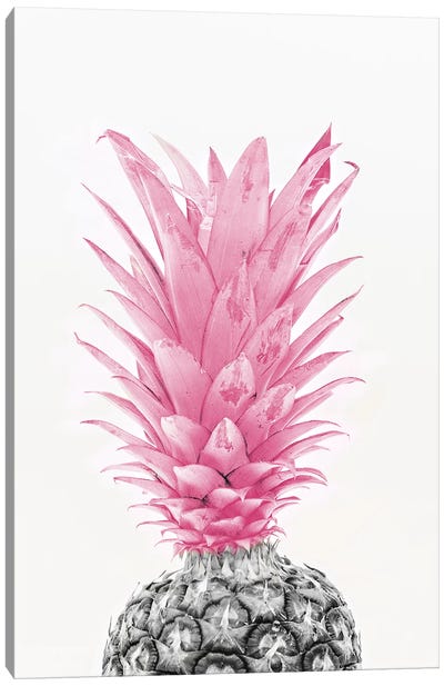 Black & White Pineapple With Pink Canvas Art Print - Food Art