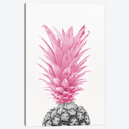 Black & White Pineapple With Pink Canvas Print #PXY80} by Pixy Paper Canvas Wall Art