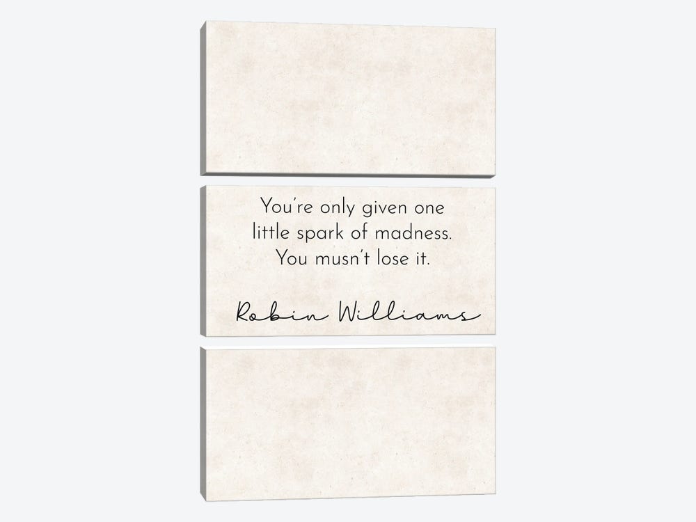 One Spark - Robin Williams Quote by Pixy Paper 3-piece Canvas Wall Art