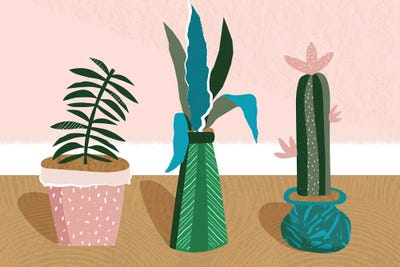 Plant Collection Jungle Abstract by Pixy Paper canvas print