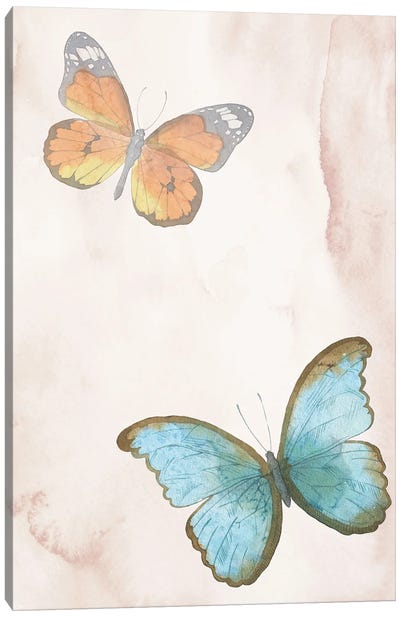 Butterflies Exotic Canvas Art Print - Monarch Metamorphosis