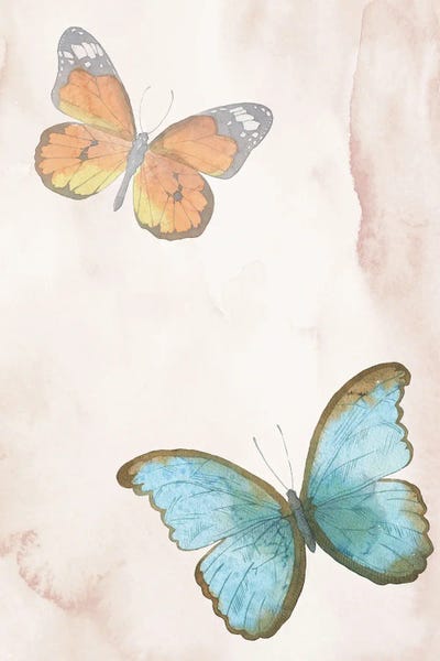 Monarch Butterflies: Butterflies Exotic by Pixy Paper