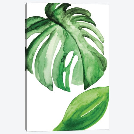 Large Leaf Exotic Canvas Print #PXY943} by Pixy Paper Art Print