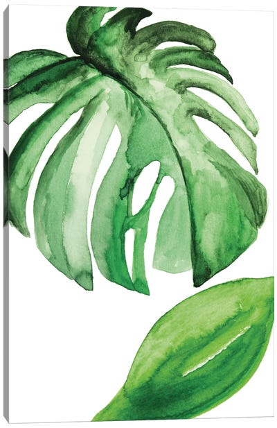 Large Leaf Exotic Canvas Art Print - Monstera Art