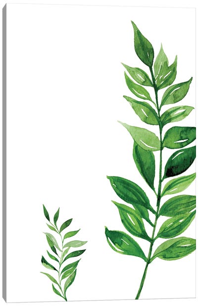 Side Leaf Exotic Canvas Art Print - Pixy Paper
