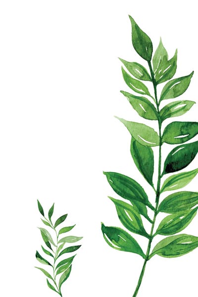 Pixy Paper: Side Leaf Exotic by Pixy Paper