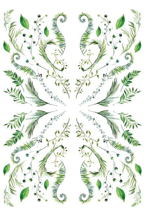 Mirrored Plants Exotic