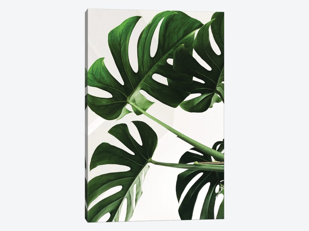 Monstera Leaf by Pixy Paper 1-piece Art Print