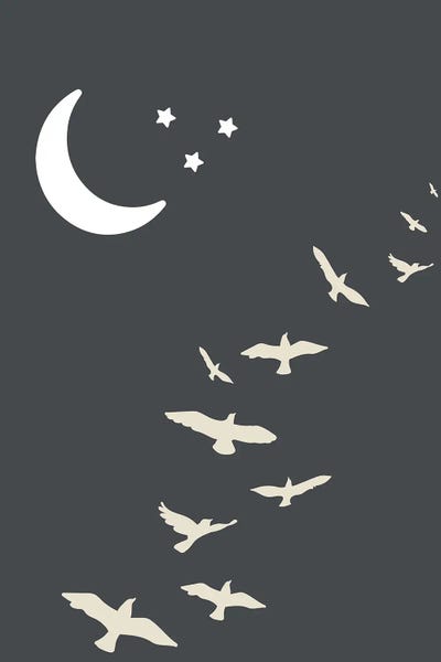 Pixy Paper: Inspired Off Black Night Sky Boho by Pixy Paper