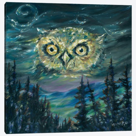 Night Owl Canvas Print #PYE108} by Melani Pyke Canvas Art