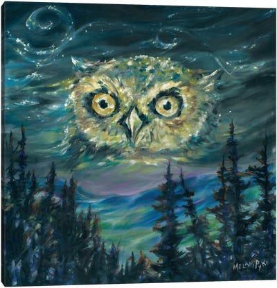 Night Owl Canvas Art Print - Aurora Borealis Art