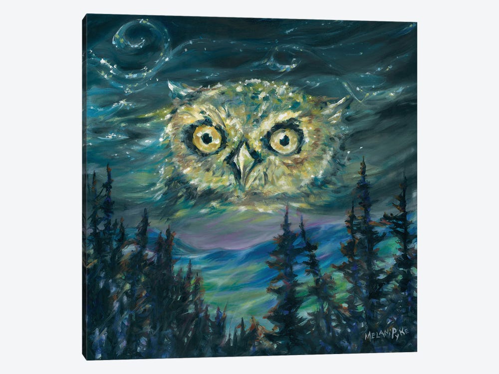 Night Owl by Melani Pyke 1-piece Canvas Art Print