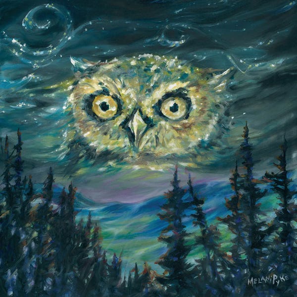 Aurora Borealis: Night Owl by Melani Pyke