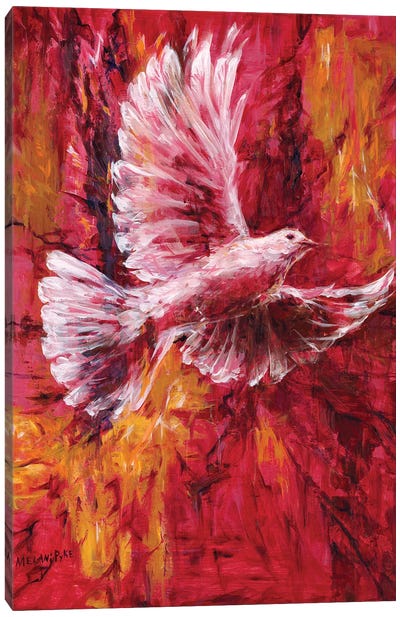 Battle For Peace Canvas Art Print - Dove & Pigeon Art
