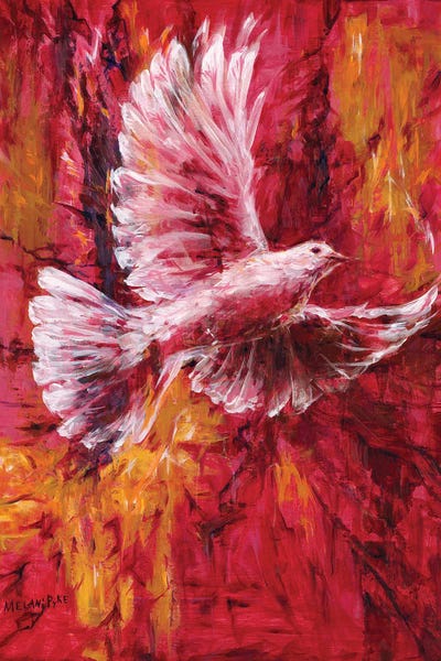 Doves & Pigeons: Battle For Peace by Melani Pyke