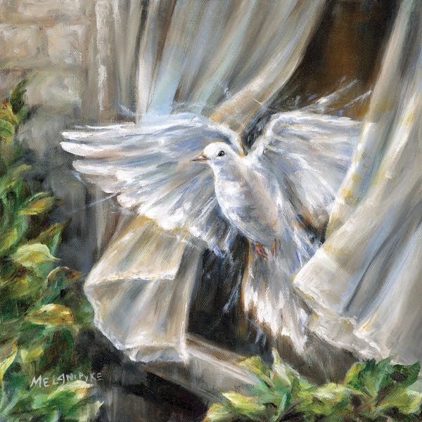Doves & Pigeons: Dove Flying Free by Melani Pyke