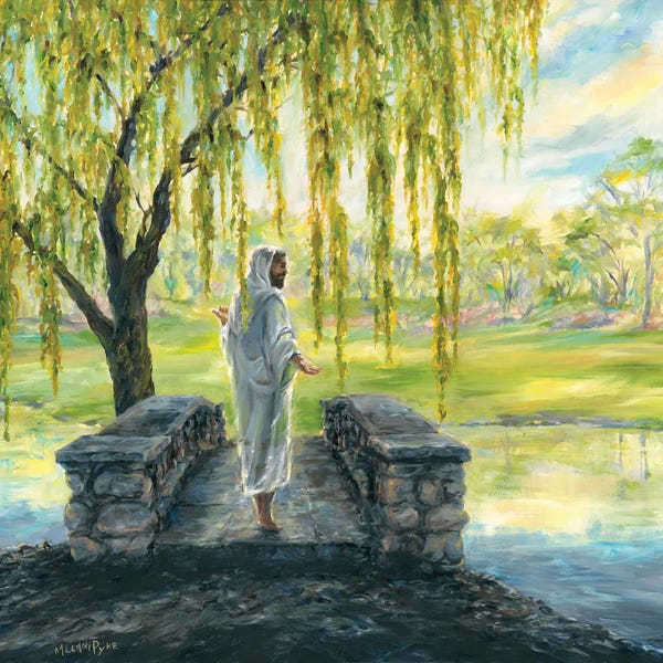 Willow Trees: The Truth And The Light by Melani Pyke