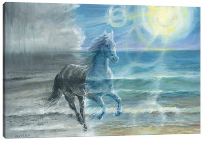 Renewed Life (Horse Running On Beach) Canvas Art Print - Melani Pyke