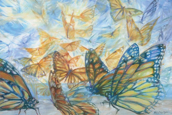Melani Pyke: Monarch Butterflies Like Angels - Beach Migration by Melani Pyke
