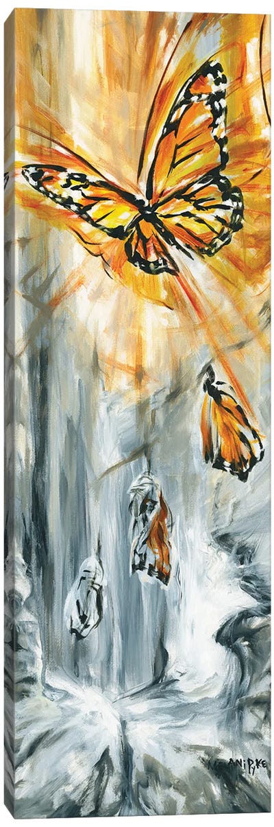 Monarch Emerging Canvas Art Print - Monarch Metamorphosis