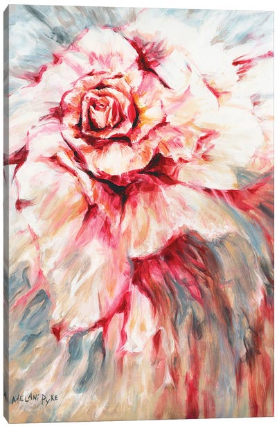Rose Of Water Canvas Art Print - Melani Pyke