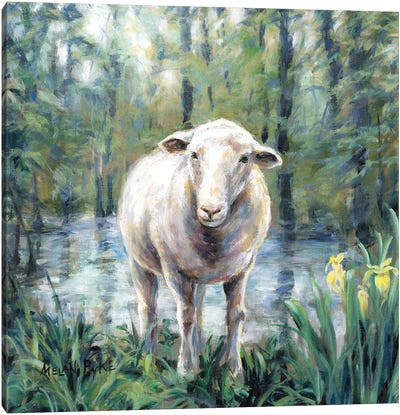 Sheep Standing By Still Water Canvas Art Print - Melani Pyke