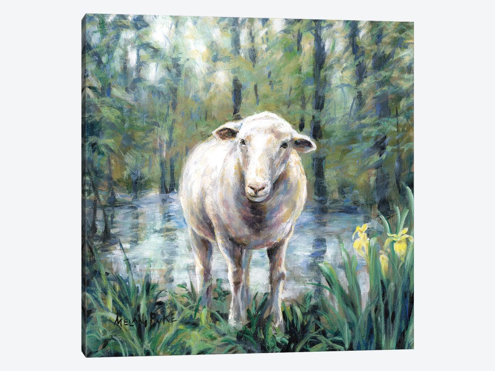 Sheep Standing By Still Water by Melani Pyke 1-piece Canvas Artwork
