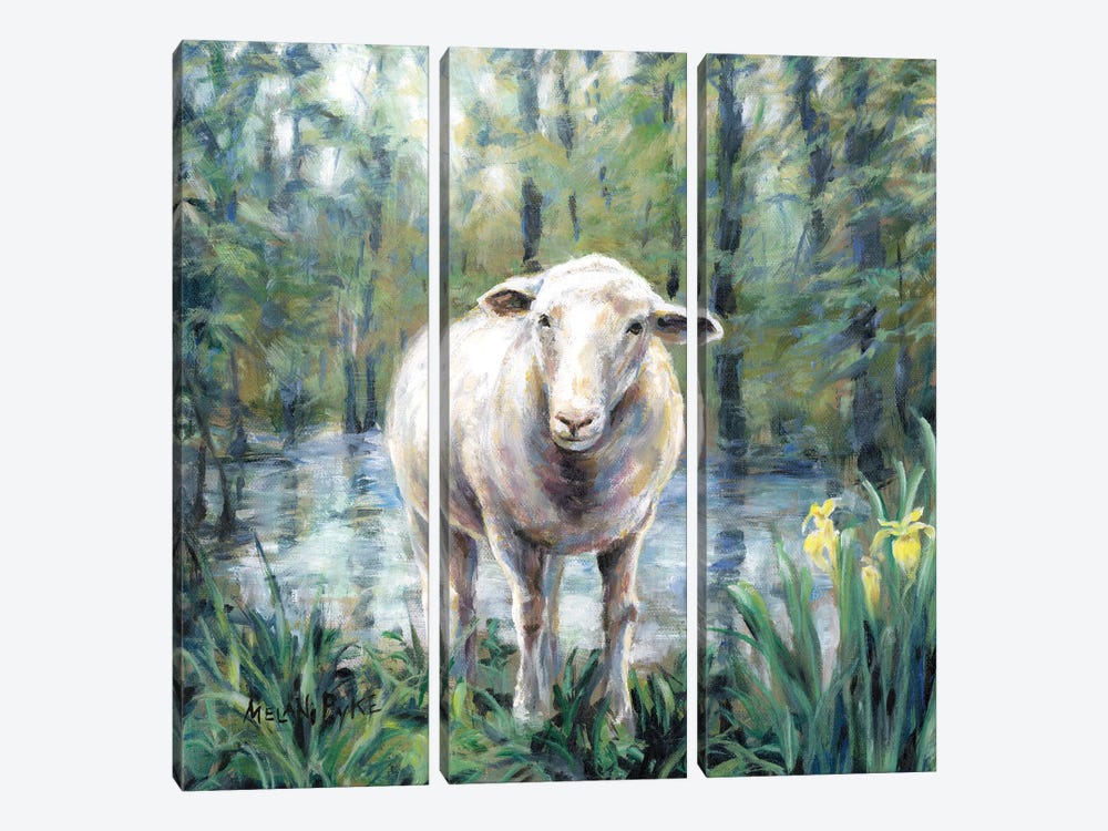 Sheep Standing By Still Water by Melani Pyke 3-piece Canvas Wall Art