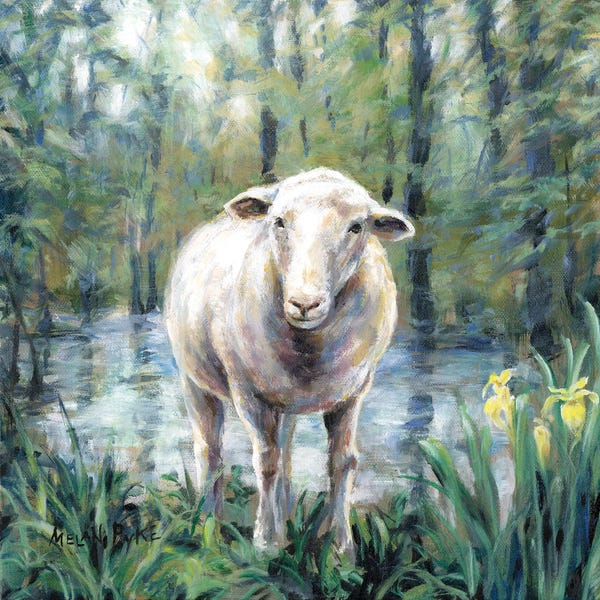 Sheep: Sheep Standing By Still Water by Melani Pyke