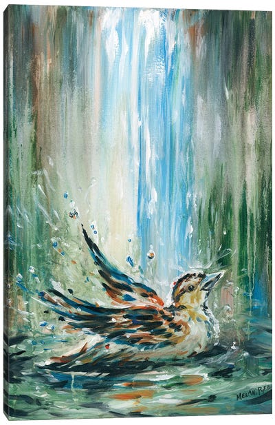 Sparrow In A Bird Bath Canvas Art Print - Melani Pyke