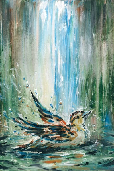 Melani Pyke: Sparrow In A Bird Bath by Melani Pyke