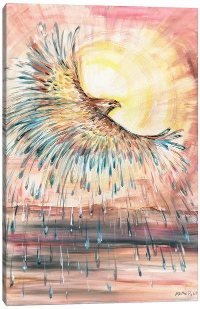 Sun With Hawk Of Water Over Dry Land Canvas Art Print - Buzzard & Hawk Art