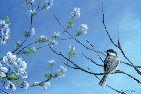 Melani Pyke: The Intersection Of Seasons by Melani Pyke