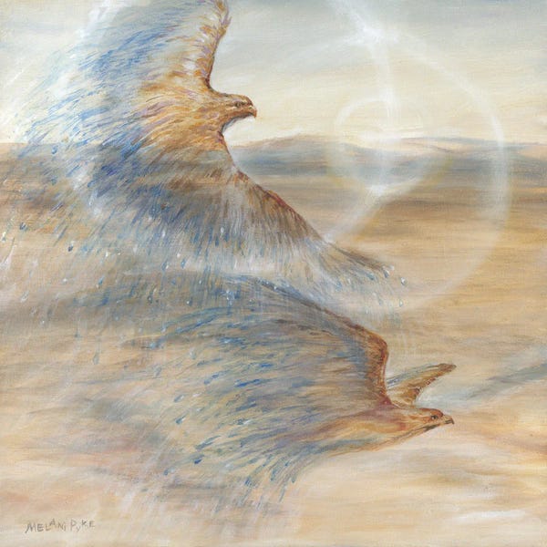 Melani Pyke: Watering Dry Land The Spirit Along With Me by Melani Pyke