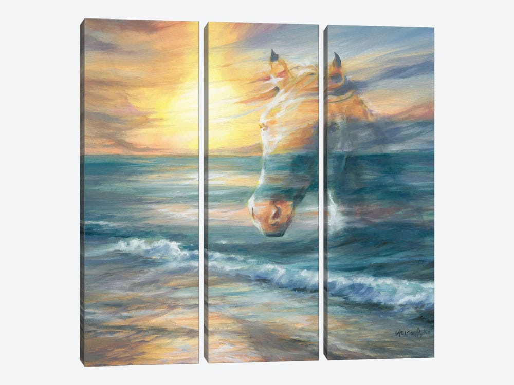 Waves Of Wonder (Horse Over Beach Sunset) by Melani Pyke 3-piece Art Print