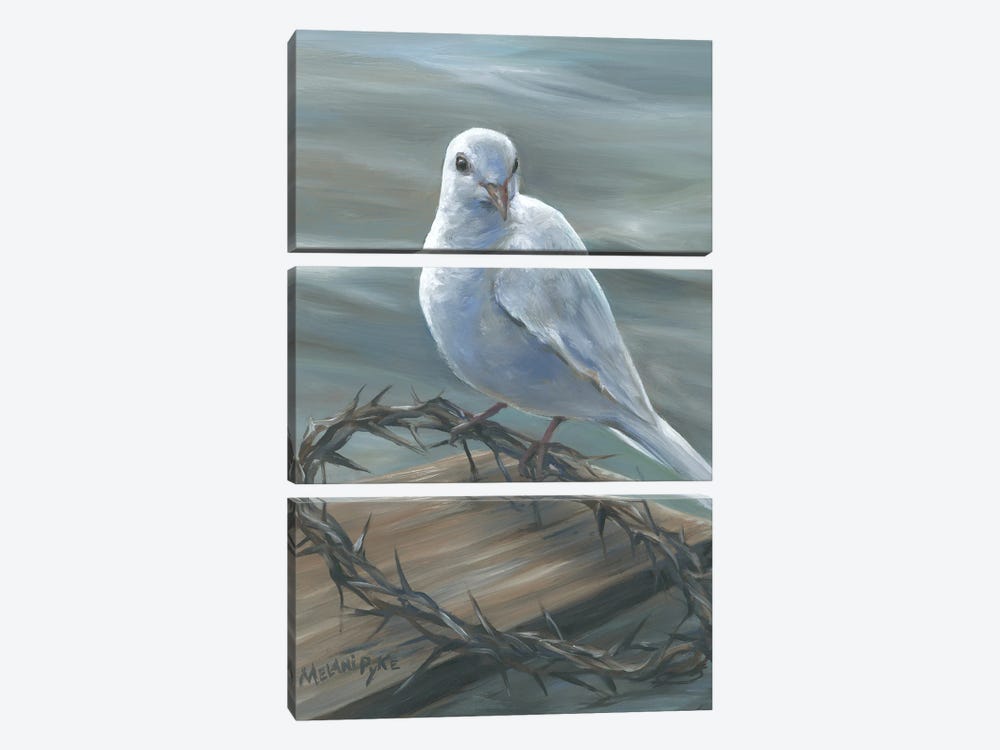 White Dove Resting On Crown Of Thorns by Melani Pyke 3-piece Art Print