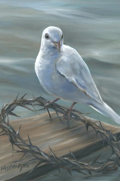 Doves & Pigeons: White Dove Resting On Crown Of Thorns by Melani Pyke