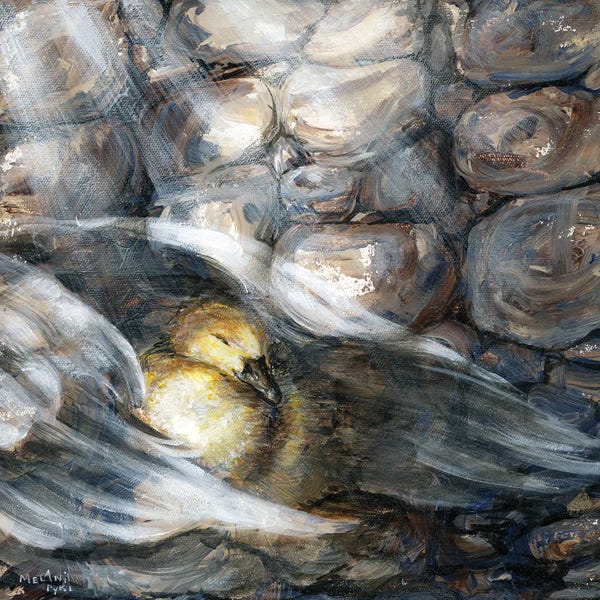 Wings: Wings Of Protection by Melani Pyke