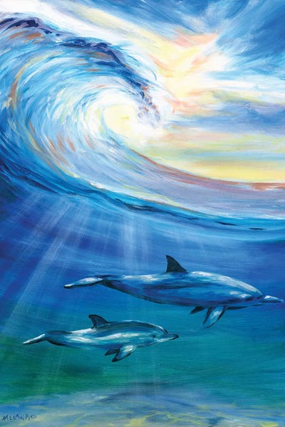 Dolphins: Follow My Ways by Melani Pyke