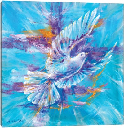 Create Peace Canvas Art Print - Melani Pyke