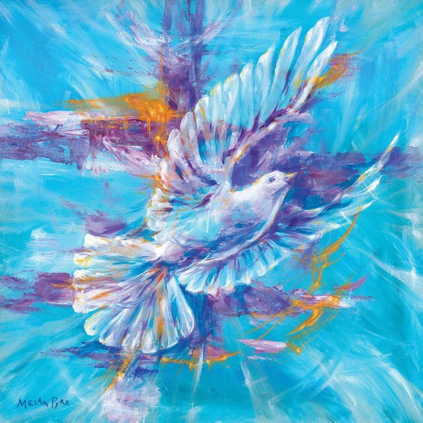 Doves & Pigeons: Create Peace by Melani Pyke