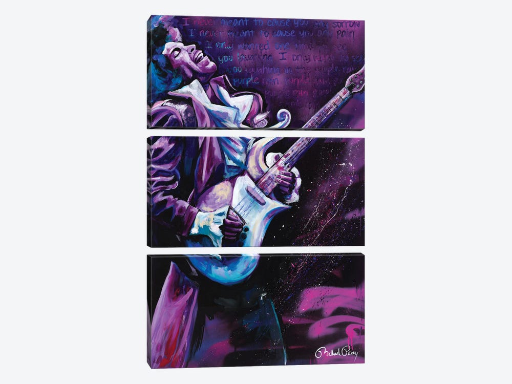Purple Rain (Prince) by Michael Petty IV 3-piece Canvas Wall Art