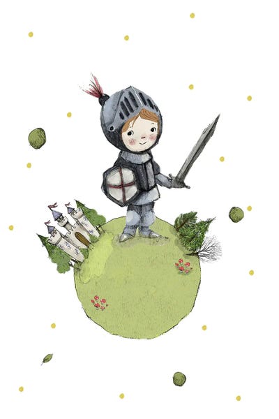 Castles & Palaces: Knight Earth by Paola Zakimi