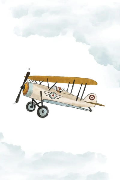 Airplanes: Airplane by Paola Zakimi