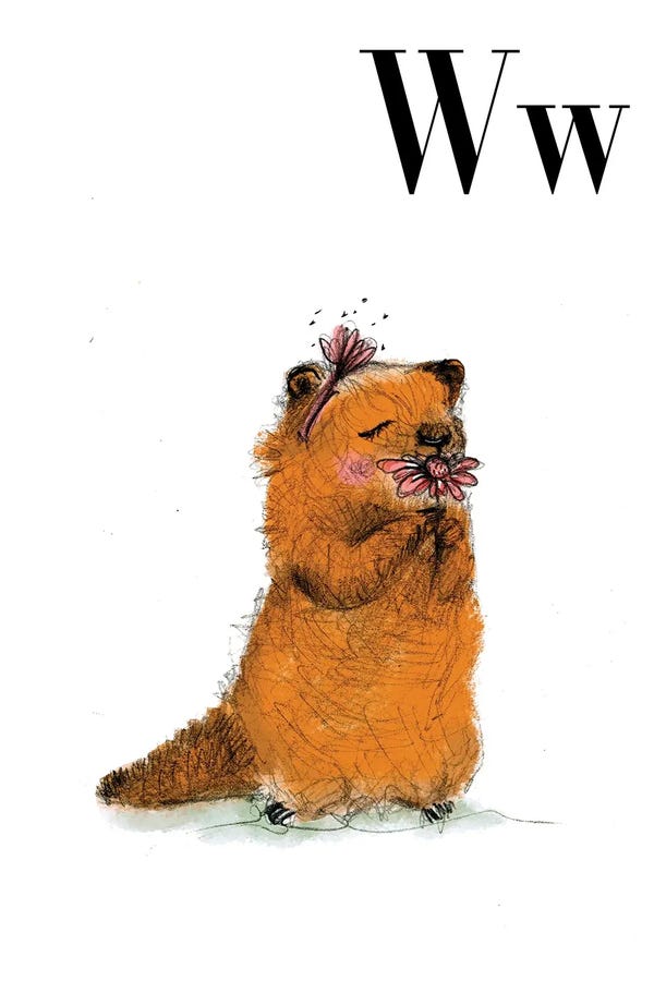 Groundhogs