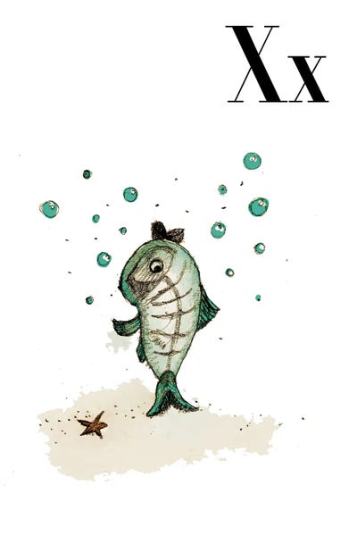 The Letter X: X-Ray by Paola Zakimi