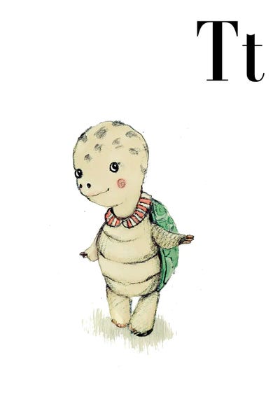 The Letter T: Turtle by Paola Zakimi